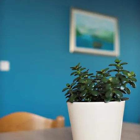Zizic Apartment Vodice
